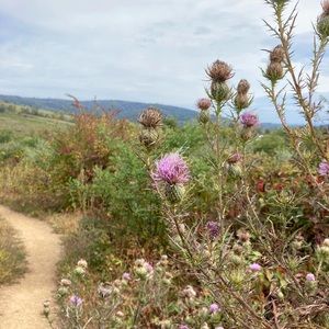 Meet your Posher, Liz